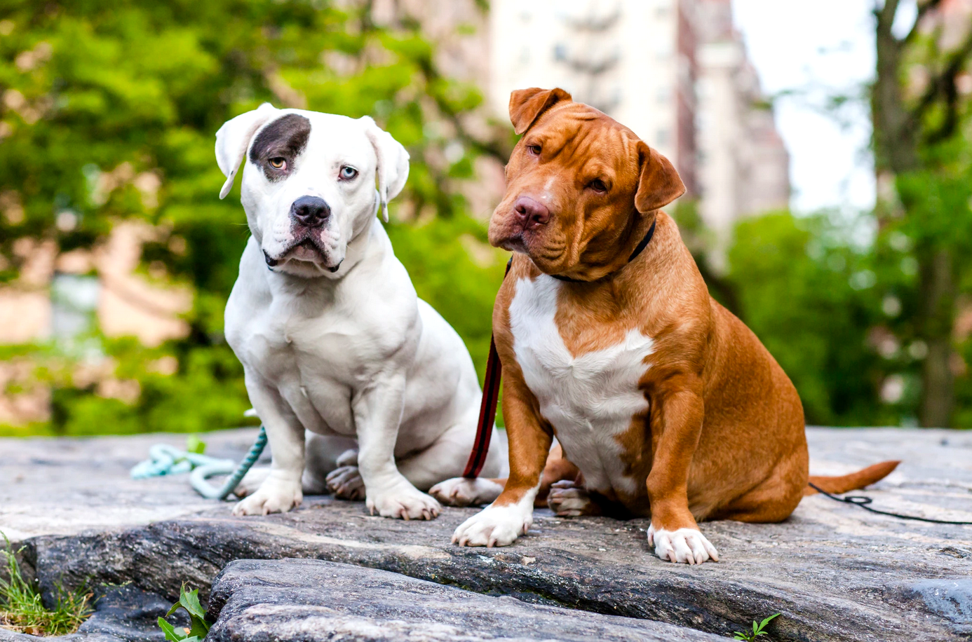 Best friends photo 3